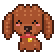ショコラ